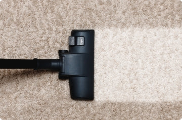 Rug Maintenance Tips